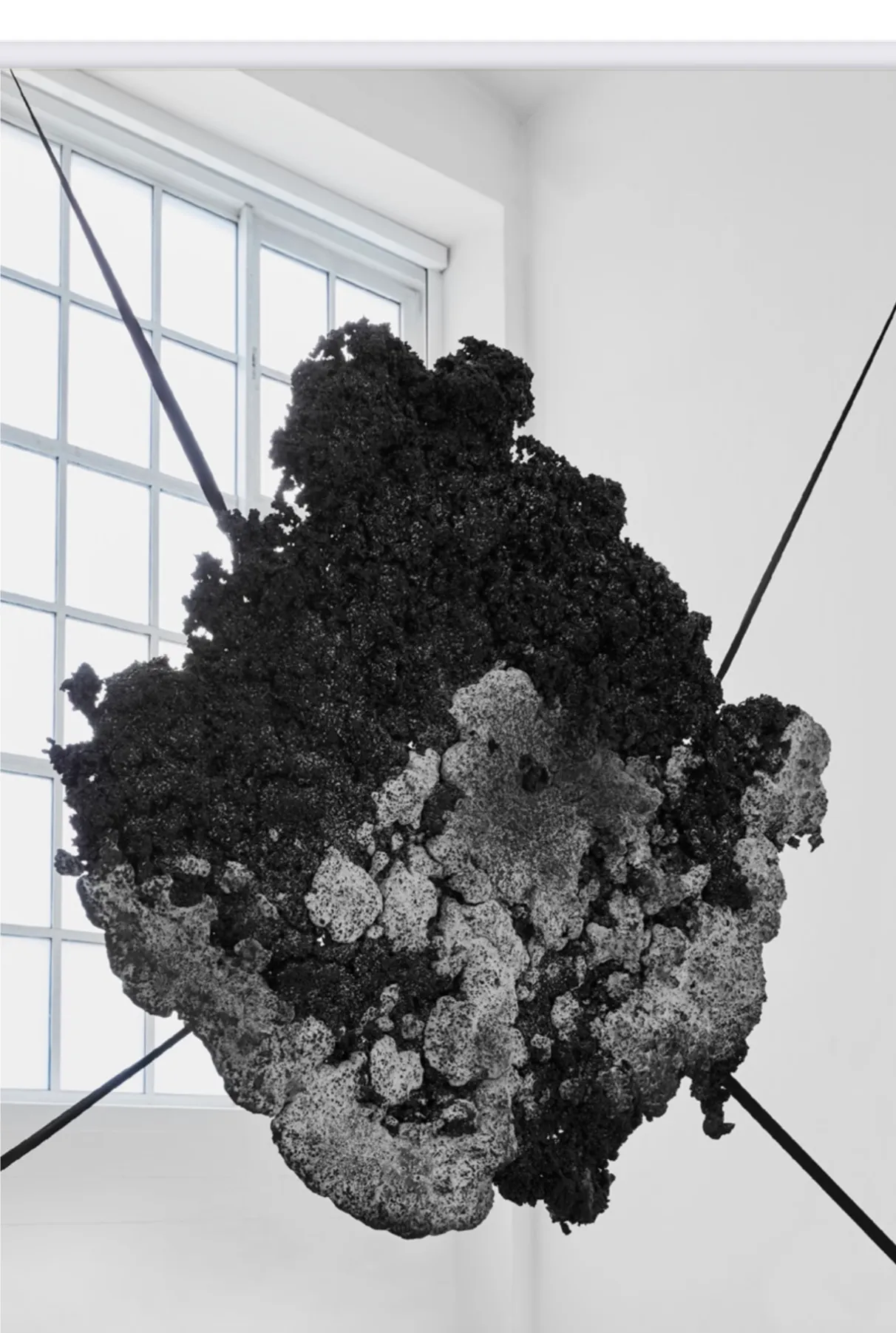 Elena Greta Falcini — dark matter suspended in space, installation view