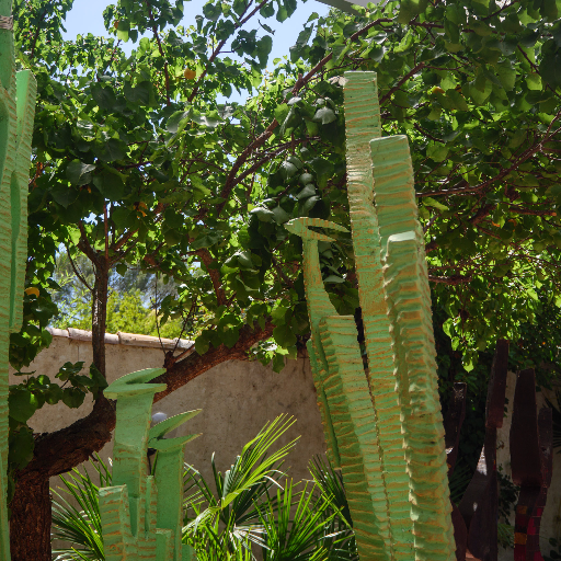 Garden with tall cactus and tropical plants
