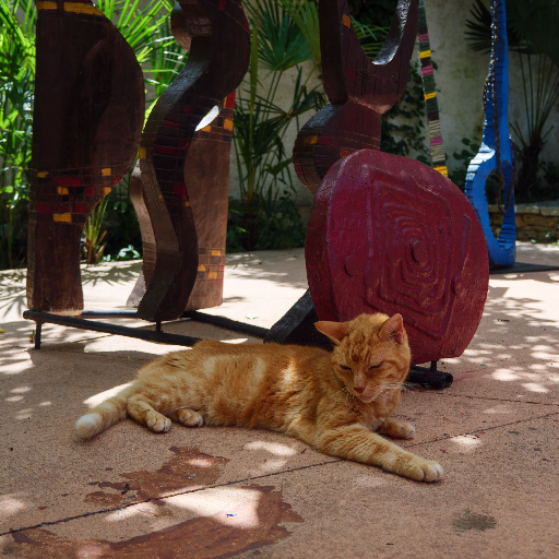 Cat resting near dark wood sculptures in the garden