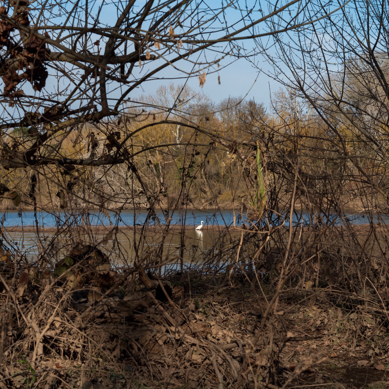 Rivages — the ponds of la Malhaute, former sand quarries