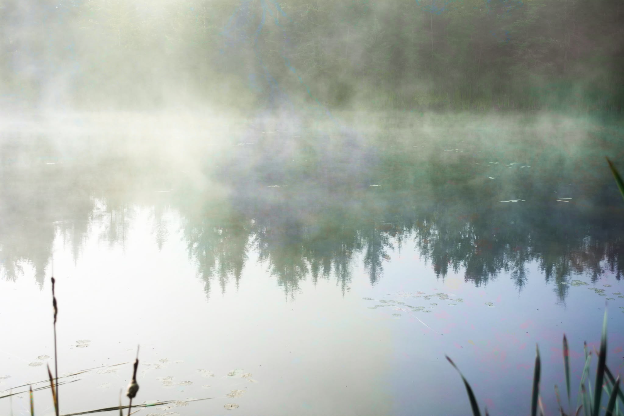 Telders Pond — morning mist rising from a pond near my childhood home