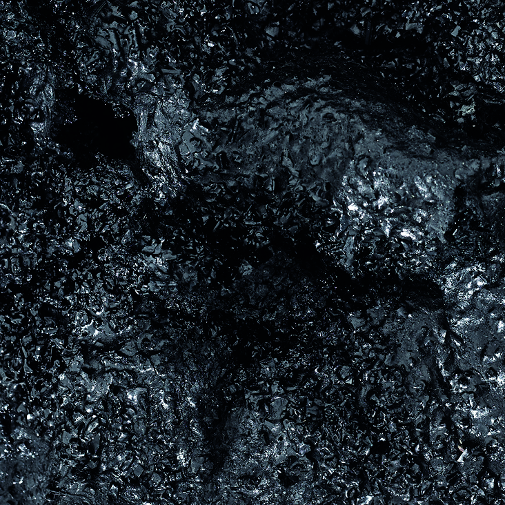 The Room of Absence — Elena Greta Falcini
