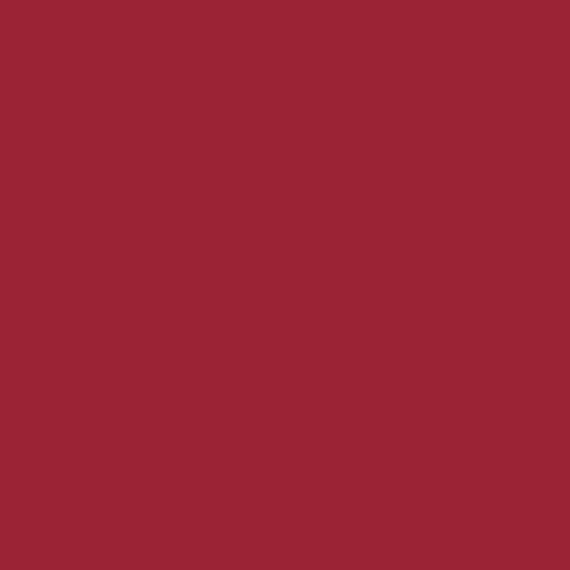 The Color You Cannot Name: On Pigment, Perception, and the Private Languages of Color