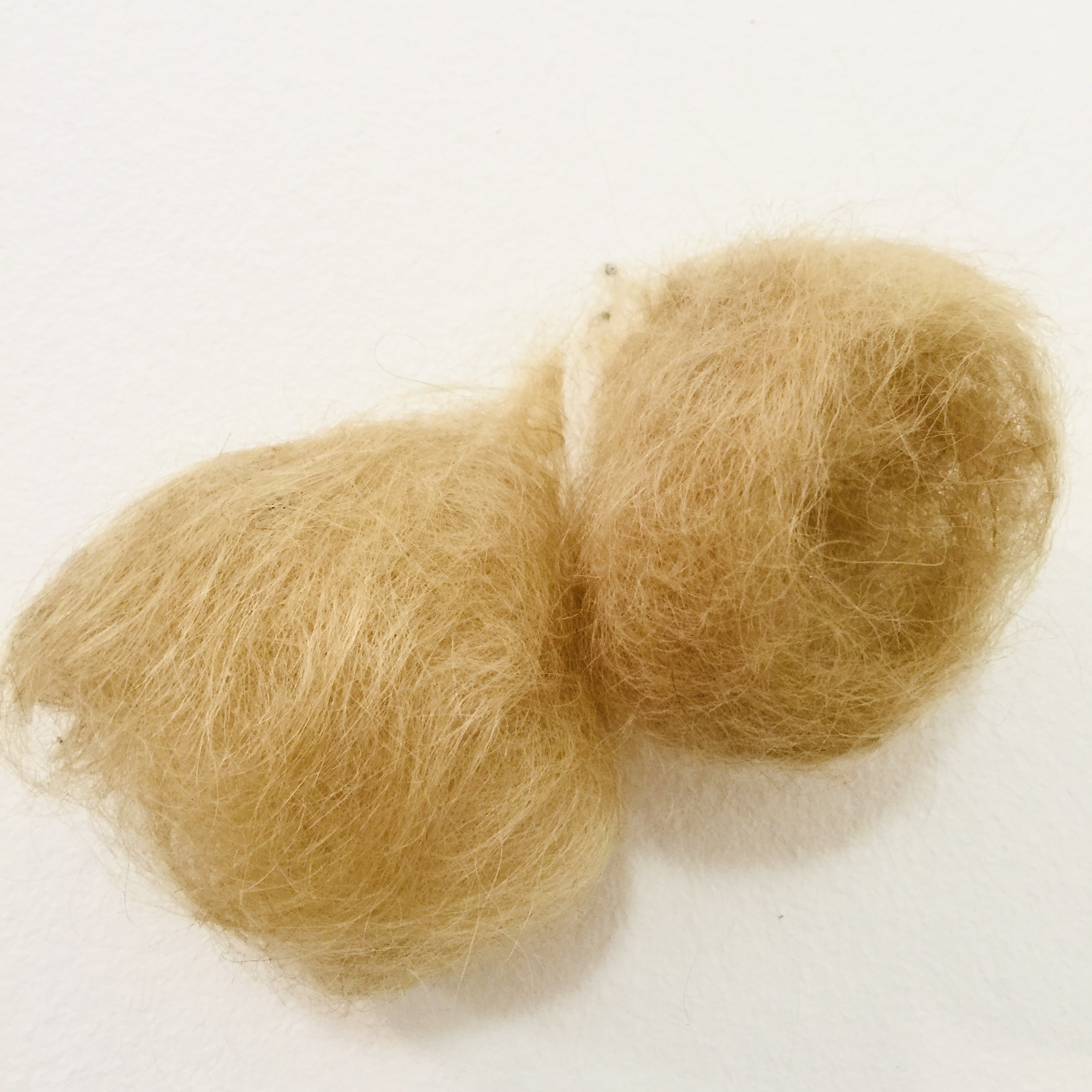 Object — felted cats fur
