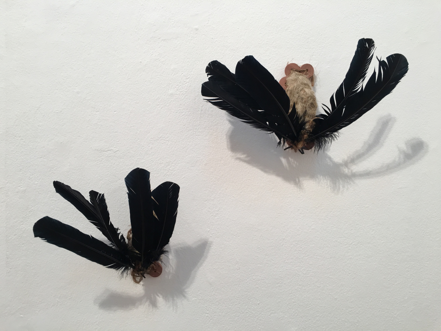 Feathers, PhD exhibition 2018