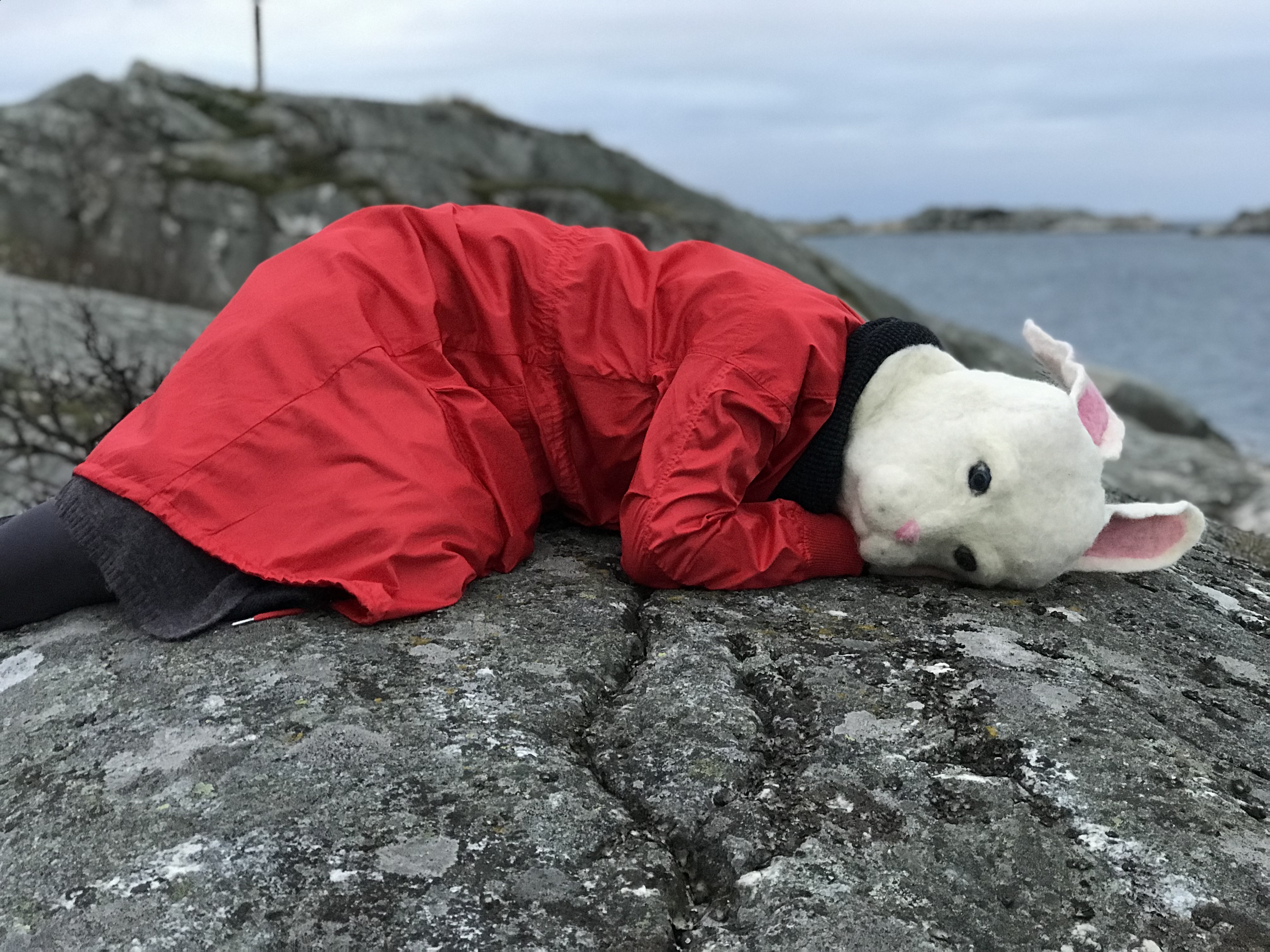 Performance — rabbit mask lying on rock by the sea