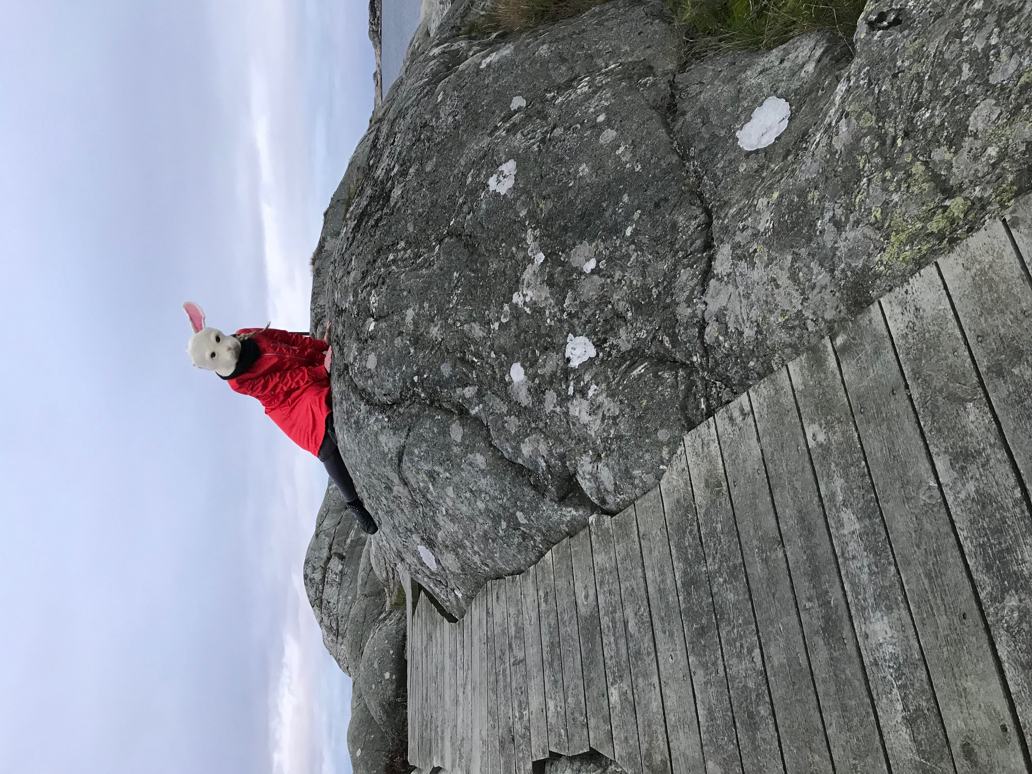 Performance — rabbit mask, rocks by the sea