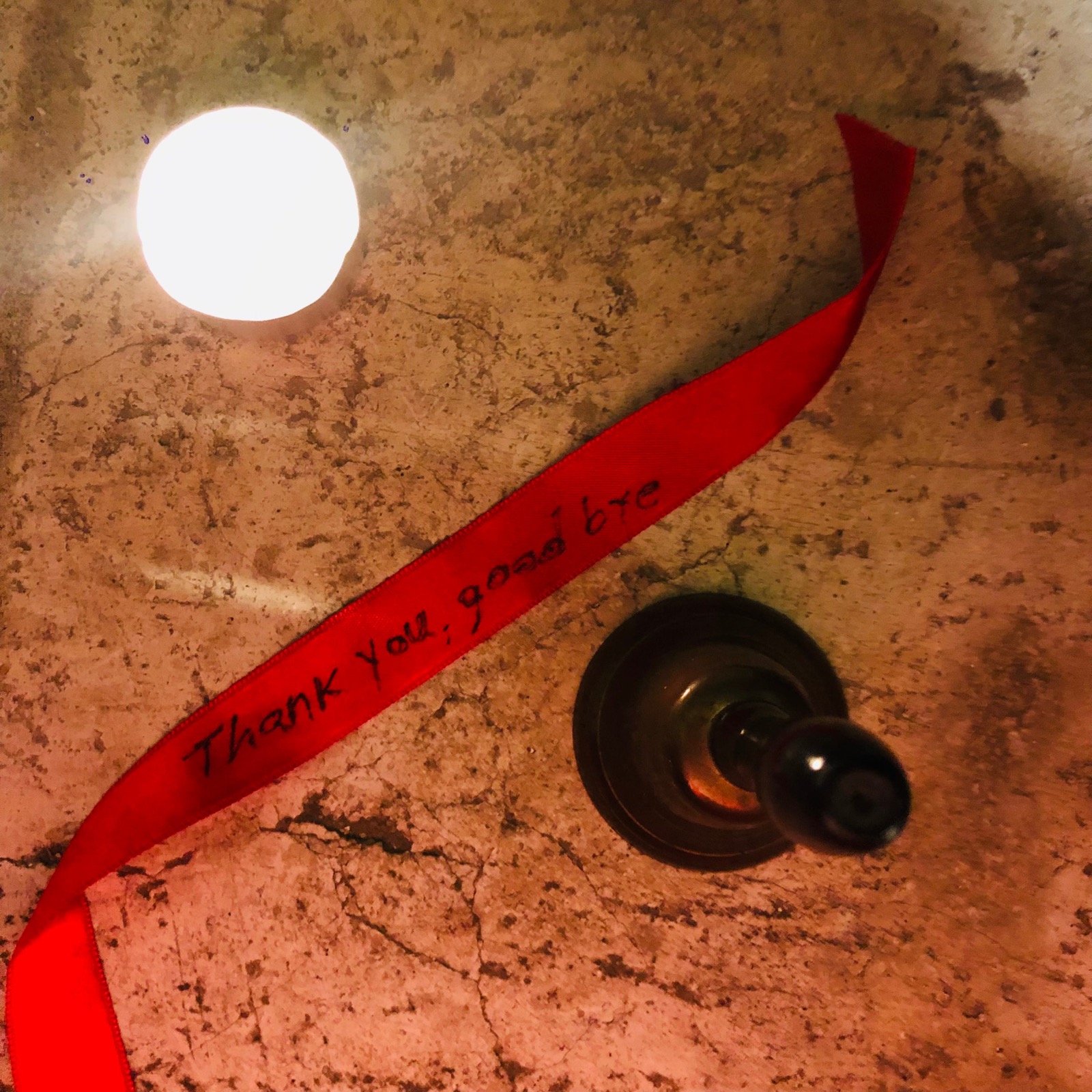 Gordana Zikic, Thank You and Goodbye Performance, 2021