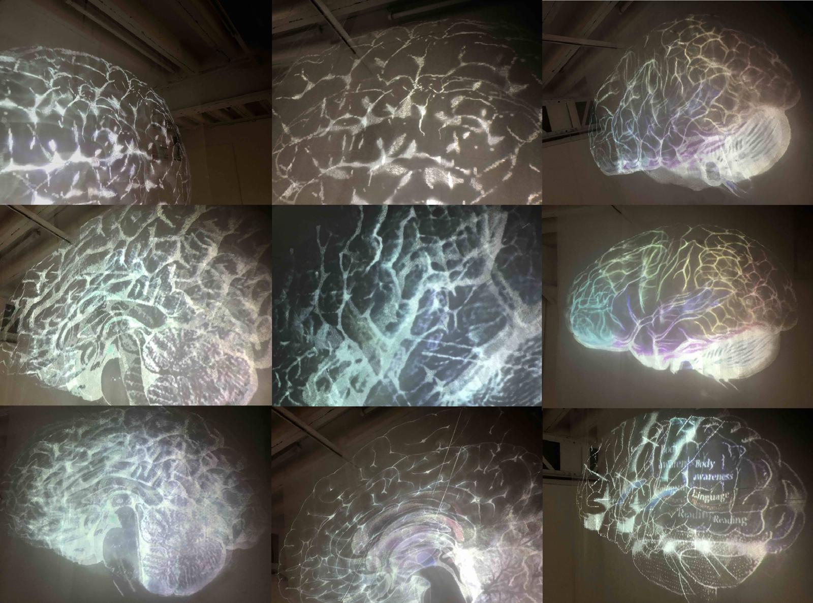 Kai Rennes — *Gray Matter*, 2019. Nine views of the installation.