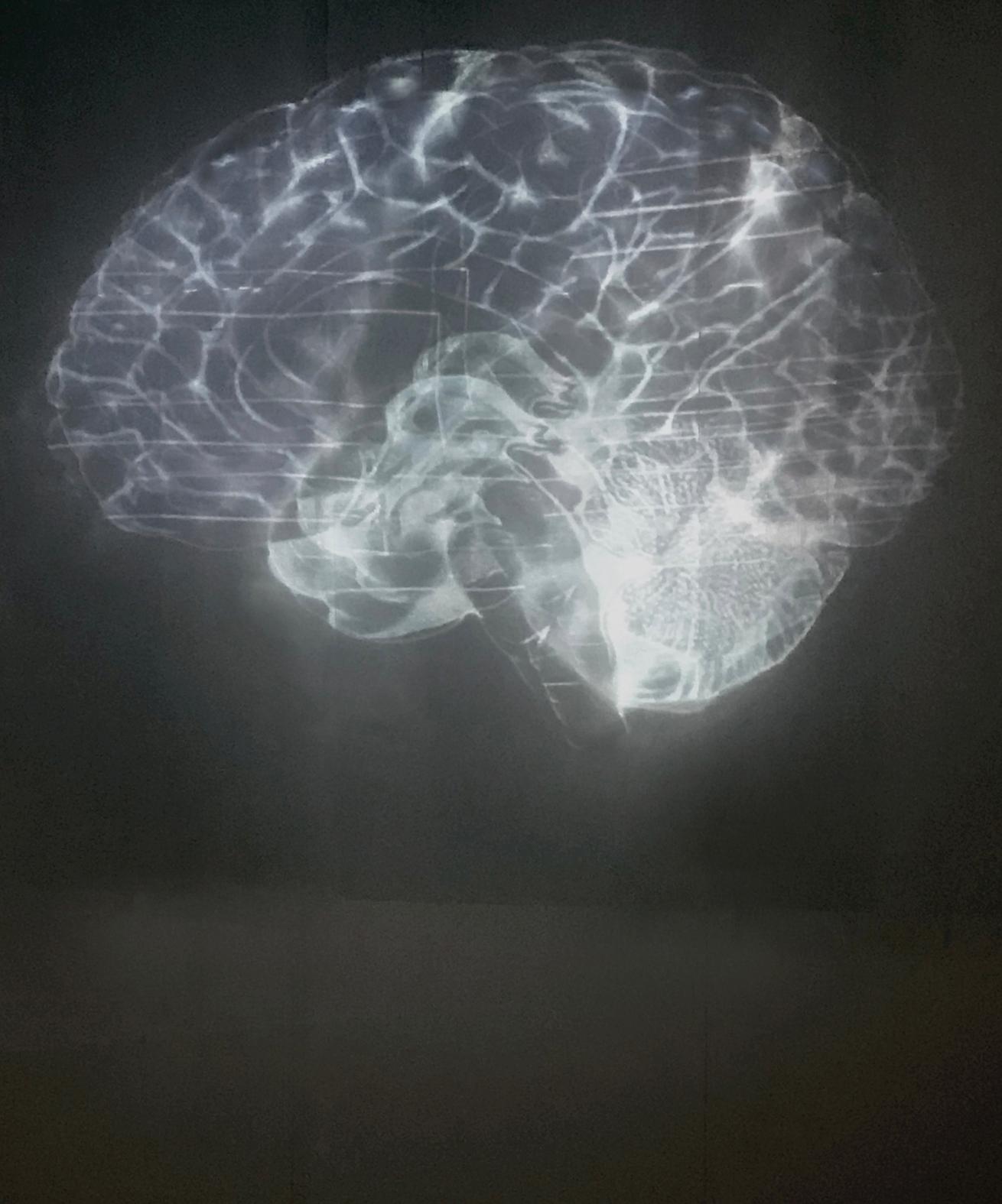 Kai Rennes — *Gray Matter*, 2019. Brain projection on washi paper, Youkobo Art Space, Tokyo.